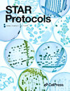 Star Protocols雜志