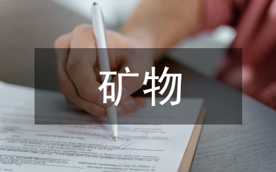 2006礦物業公司工會年終工作總結