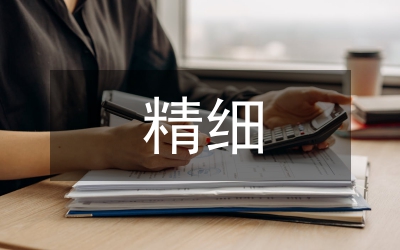 精細化財務管理模式探討
