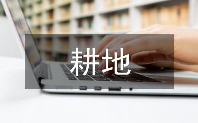 耕地征用補償的實物期權論文