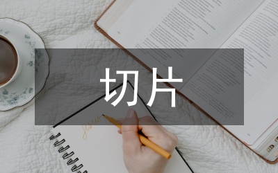 切片紡生產工藝探討