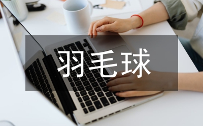 羽毛球比賽方案