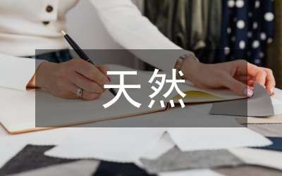 天然氣在能源轉型中的作用