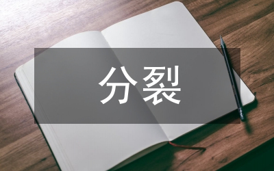 分裂國家罪探究論文