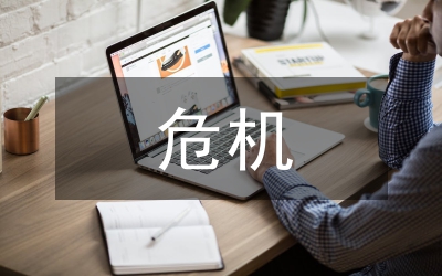 債轉股危機研究論文