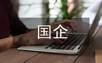 國企改革經濟管理論文