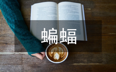 蝙蝠和雷達教學設計