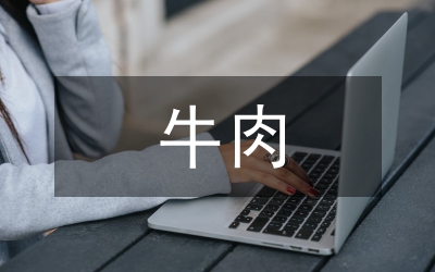 牛肉公司個人述職小結