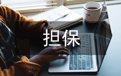 物權法擔保物權編之評價