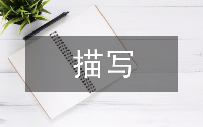 細節描寫