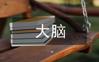 論大腦視覺化下聲樂教學藝術