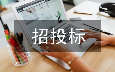 投標文件準備風險識別與防范