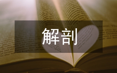 人體解剖