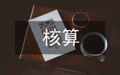 核算人員提高能力水平工作感想