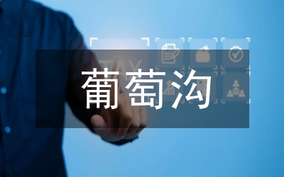 葡萄品牌建設論文