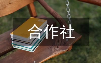 供銷合作社聯合社軟件正版化工作總結