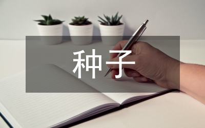 用“種子課”理念上好小學數學課探討