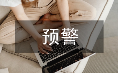 預警模型公司財務論文