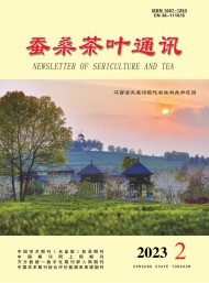 茶?？萍寂c信息
