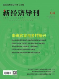 新經濟導刊