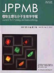 植物生理與分子生物學